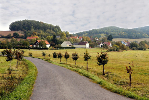 83.jpg